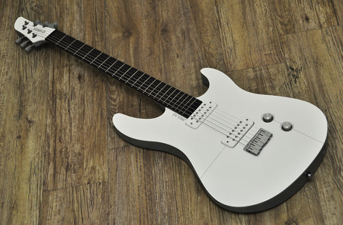 YAMAHA RGX-A2 の写真