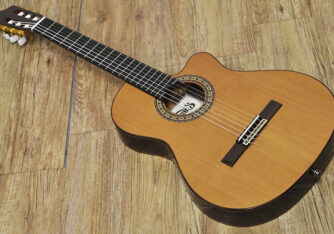 Tears Guitar ECL-650T (2)